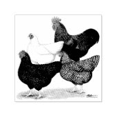 プリマス・ロック・カルテット セルフインキングスタンプ (デザイン)