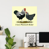 プリマス・ロック：シルバー・ペンシル・ペア ポスター (ホームオフィス)