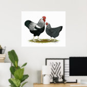 プリマス・ロック：シルバー・ペンシル・ペア ポスター (ホームオフィス)