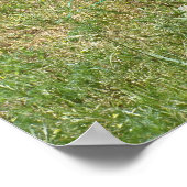 プリマス・ロック・チキン ポスター (角)