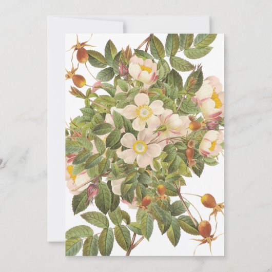 プリマ絵を描ロスのブライダルシャワー招待状 招待状 (裏面)