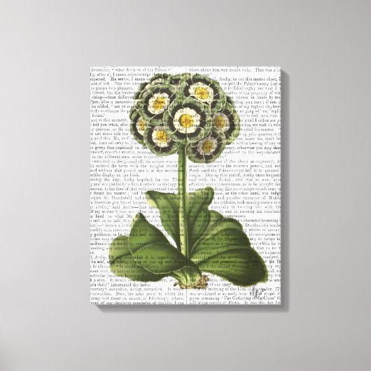 プリムラオーリキュラブルー キャンバスプリント (正面)