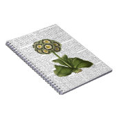 プリムラオーリキュラブルー ノートブック (右側)