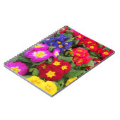 プリムラカラフルスのスプリングタイムメドレー ノートブック (左側)