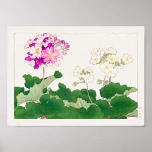 プリムラバイタニガミ湖南 ポスター