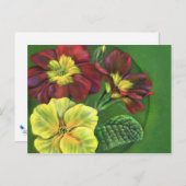 プリムラプリムローズ春葉書 ポストカード (正面/裏面)