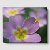 プリムラ春の花パーソナライズされた1メモリアルGB ゲストブック (裏面)