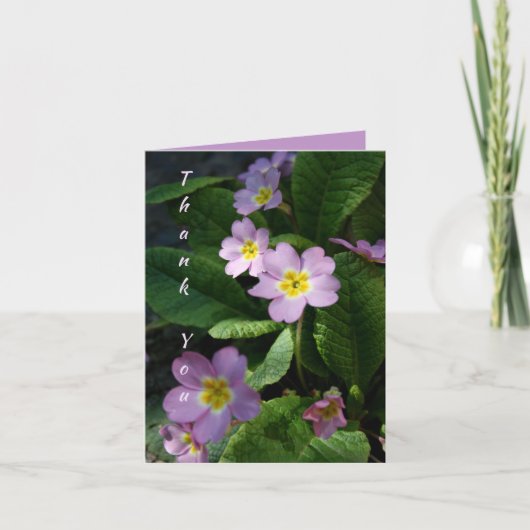 プリムラ春の花2悔やみや弔慰ありがとうNoteC サンキューカード (正面)