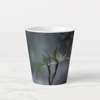 プリムラ・ジュリアムラティマグ カフェラテマグ