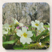 プリムローズコルクコースター コースター (正面)