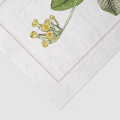 プリムローズボタニックイラストレーション1885ティッシュペーパー 薄葉紙 (詳細)