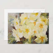 プリムローズポシー ポストカード (正面/裏面)