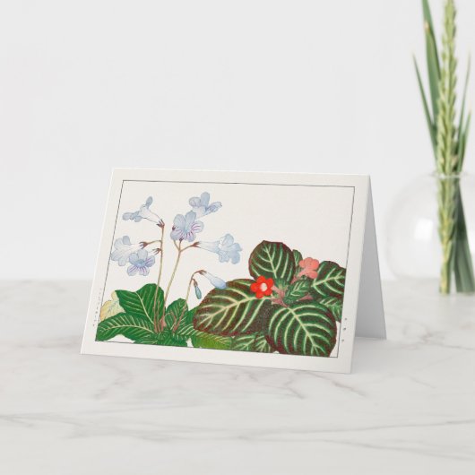 プリムローズ岬、Flame violet by Tanigami Konan カード (正面)