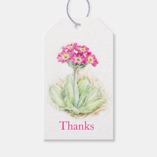 プリムローズ水素晴らし色アー感謝していトユーラベル ギフトタグ (正面)