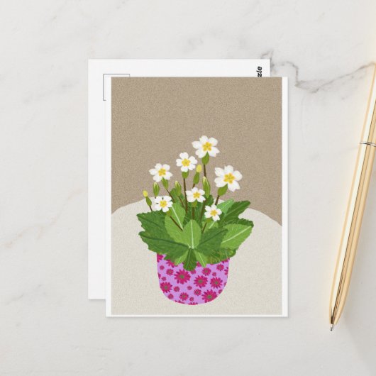 プリムローズ葉書 ポストカード (正面/裏面インサイチュ)