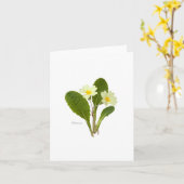 プリムローズ カード (黄色い花)