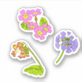 プリムローズ シール (正面)