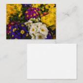 プリムローズ ノートカード (正面/裏面)