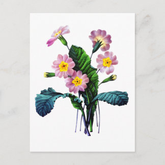 プリメヴェレまたはプリムローゼズバイピエールジョセフ・レドテ ポストカード