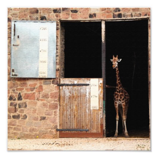 プリヤデジタルアートプリント フォトプリント (正面)