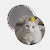 「プリル」磁石 マグネット (正面/裏面)