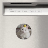 「プリル」磁石 マグネット (インサイチュ (食洗機))