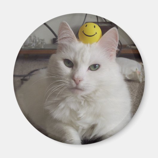 「プリル」磁石 マグネット (正面)