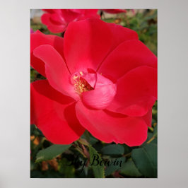 プリロー独身のゼ ポスター