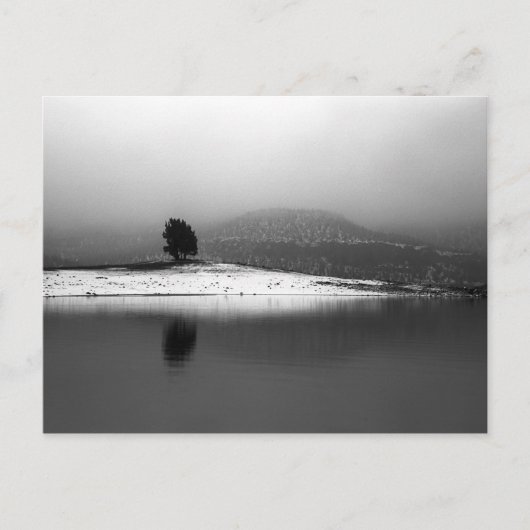 プリンエビル保管はがき ポストカード (正面)