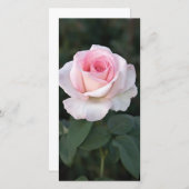 プリンクプロミスバラフォトカード (正面/裏面)