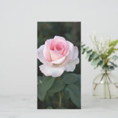 プリンクプロミスバラフォトカード (スタンド正面)