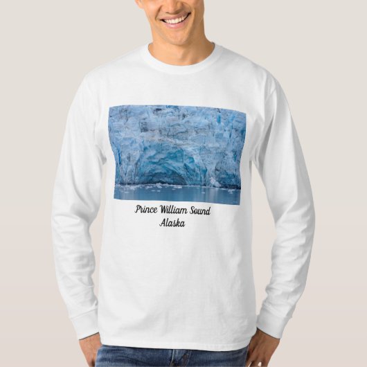プリンスウィリアム音氷河 Tシャツ (正面)