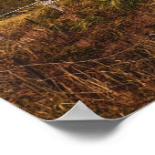 プリンスエドワード島Covehead Harbor Light house ポスター (角)