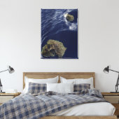プリンスエドワード諸島の衛星観測 キャンバスプリント (インサイチュ (寝室))