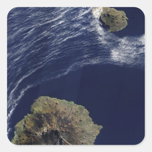 プリンスエドワード諸島の衛星観測 スクエアシール (正面)