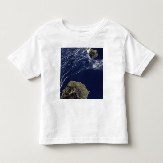 プリンスエドワード諸島の衛星観測 トドラーTシャツ (正面)