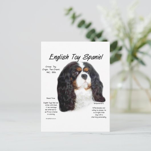 プリンスチャールズ英語おもちゃスパニエル犬の歴史 ポストカード (スタンド正面)