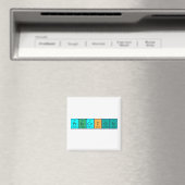 プリンストン周期表名磁石 マグネット (インサイチュ (食洗機))