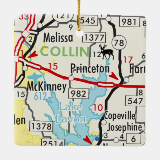 プリンストンTXロードマップ セラミックオーナメント (裏面)