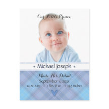 プリンスベビーブルー少年プレイド誕生の発表