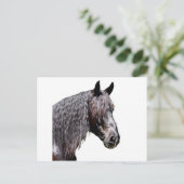 プリンス ポストカード (スタンド正面)