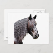 プリンス ポストカード (正面/裏面)