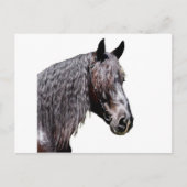 プリンス ポストカード (正面)