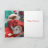 プリンセスお祝い猫 シーズンカード (内部)