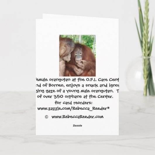 プリンセスがすべての処理を取得 カード (裏面)