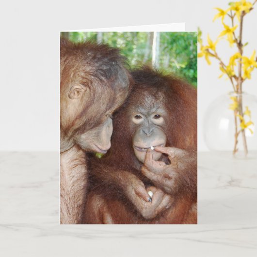 プリンセスがすべての処理を取得 カード (黄色い花)