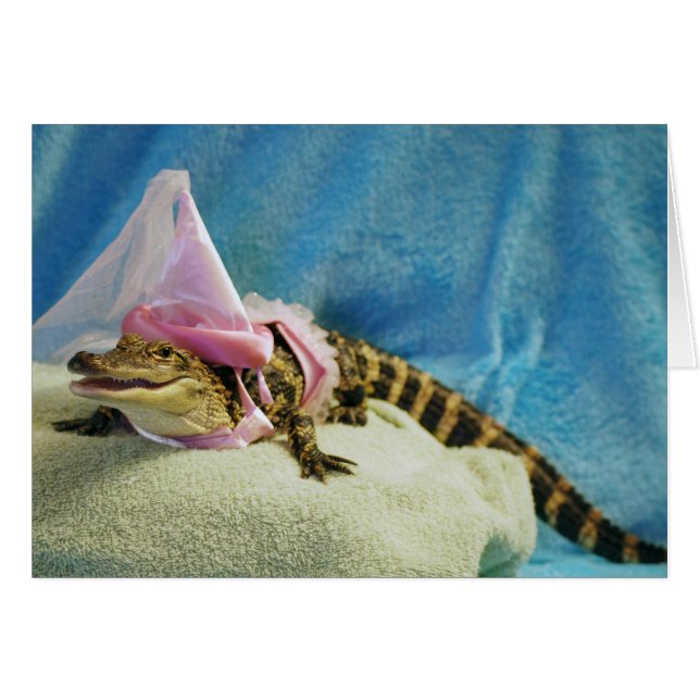 プリンセスのペニーカード (正面横)