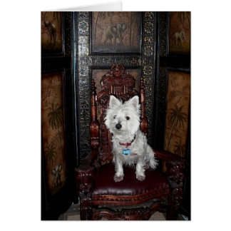 プリンセスの砂糖カード