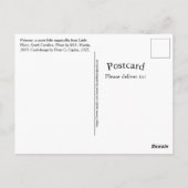 プリンセスアスウィートリトルサザンラグームフフィン子猫 ポストカード (裏面)