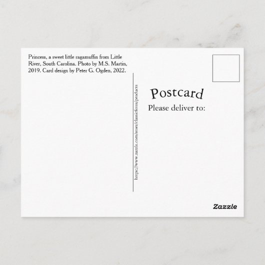 プリンセスアスウィートリトルサザンラグームフフィン子猫 ポストカード (裏面)